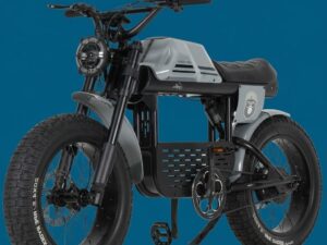 FAT BIKE APE-RYDER GIBBON 250 WATT 48 VOLT